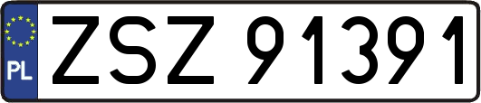ZSZ91391