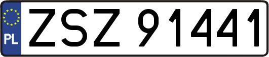 ZSZ91441