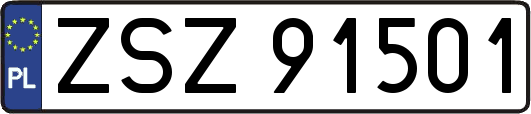 ZSZ91501