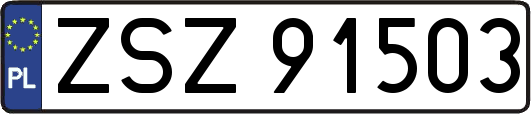 ZSZ91503
