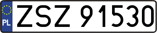 ZSZ91530