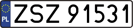 ZSZ91531