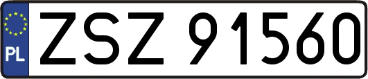 ZSZ91560
