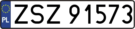 ZSZ91573