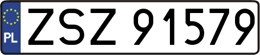 ZSZ91579