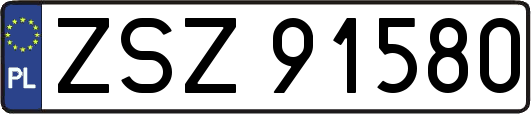 ZSZ91580