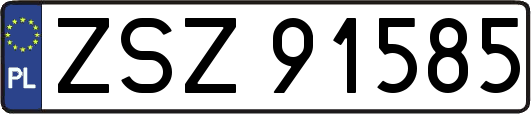 ZSZ91585