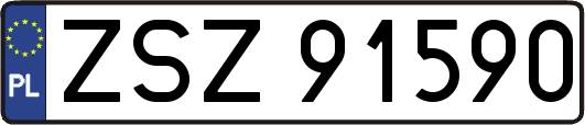 ZSZ91590