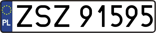 ZSZ91595
