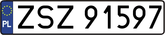 ZSZ91597