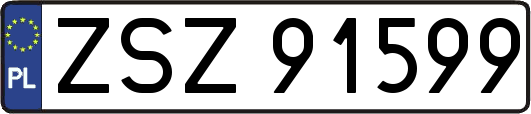 ZSZ91599