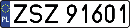 ZSZ91601