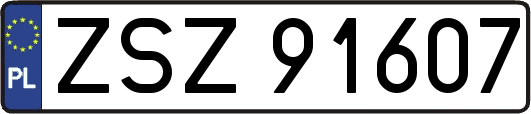 ZSZ91607