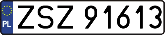 ZSZ91613