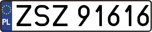 ZSZ91616