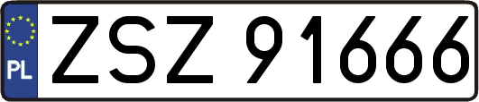 ZSZ91666
