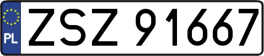 ZSZ91667