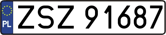ZSZ91687