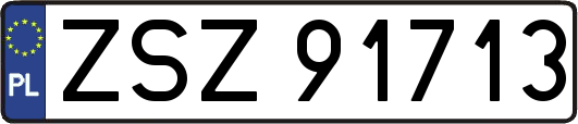 ZSZ91713