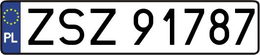 ZSZ91787