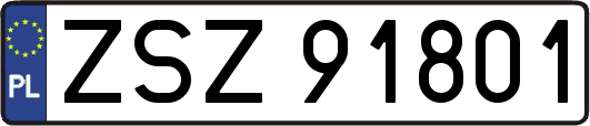 ZSZ91801