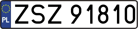 ZSZ91810