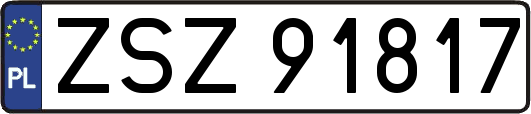ZSZ91817