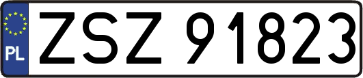 ZSZ91823