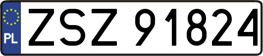ZSZ91824