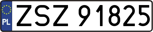 ZSZ91825