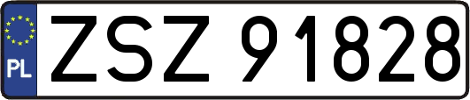 ZSZ91828