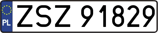 ZSZ91829