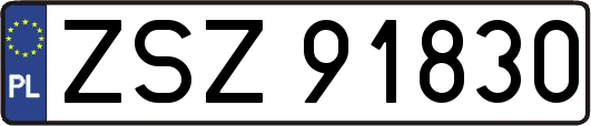 ZSZ91830