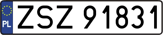 ZSZ91831