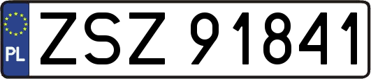 ZSZ91841