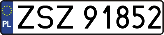 ZSZ91852