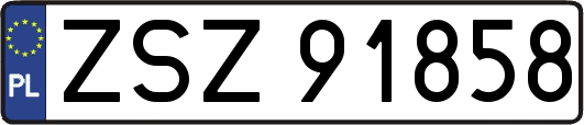 ZSZ91858