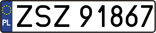 ZSZ91867