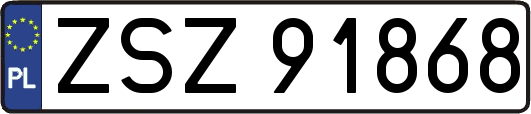 ZSZ91868