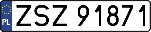 ZSZ91871