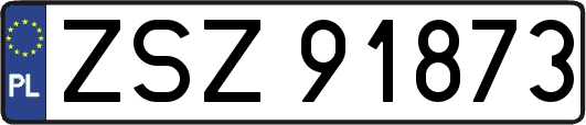 ZSZ91873
