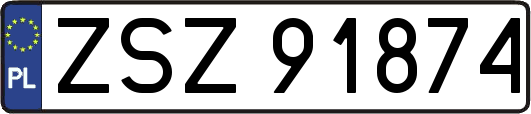 ZSZ91874