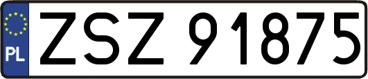 ZSZ91875