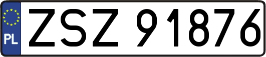 ZSZ91876