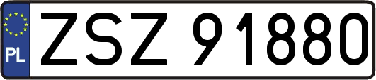 ZSZ91880