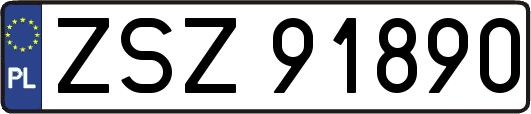 ZSZ91890