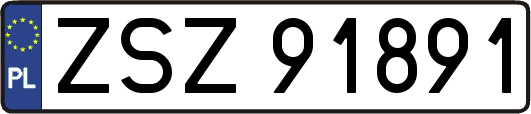 ZSZ91891