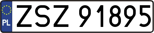 ZSZ91895