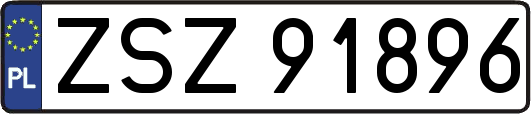 ZSZ91896