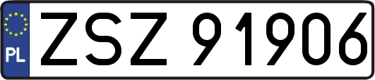 ZSZ91906